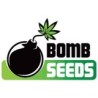 Comprar Bomb Seed semillas de marihuana.