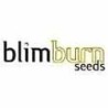 Blimburn Seeds - Semillas Marihuana