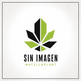 Imagen no disponible