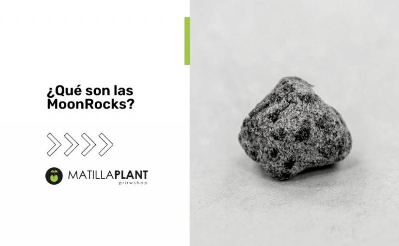 ¿Qué son las MoonRocks?