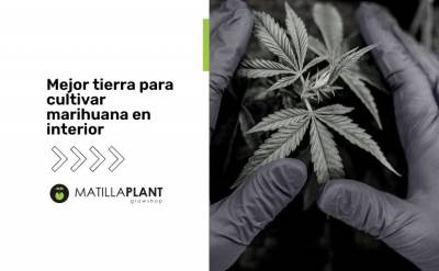 Mejor tierra para cultivar marihuana en interior