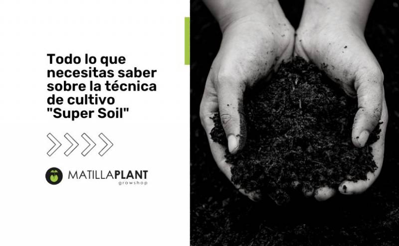 Todo lo que necesitas saber sobre la técnica de cultivo "Super Soil"