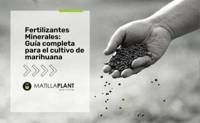 Fertilizantes minerales para el cultivo de marihuana