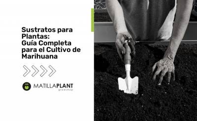 Guía completa sobre sustratos para el cultivo de marihuana