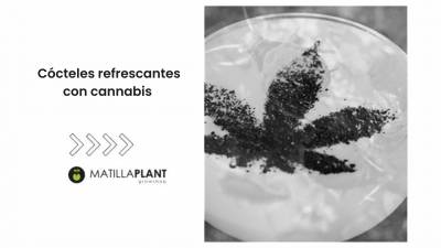 Cócteles refrescantes con cannabis