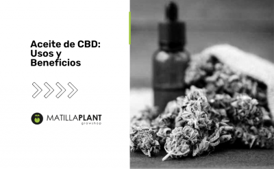 Aceite de CBD: Usos y Beneficios