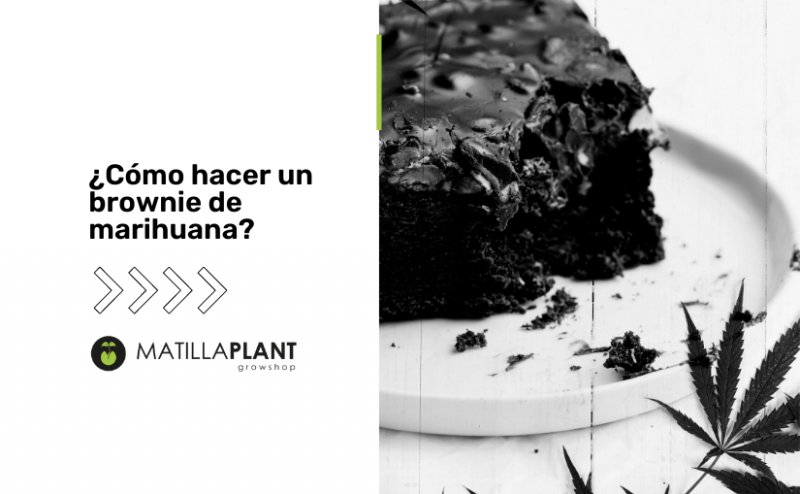 ¿Cómo hacer un brownie de marihuana?