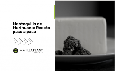 Receta de mantequilla de marihuana