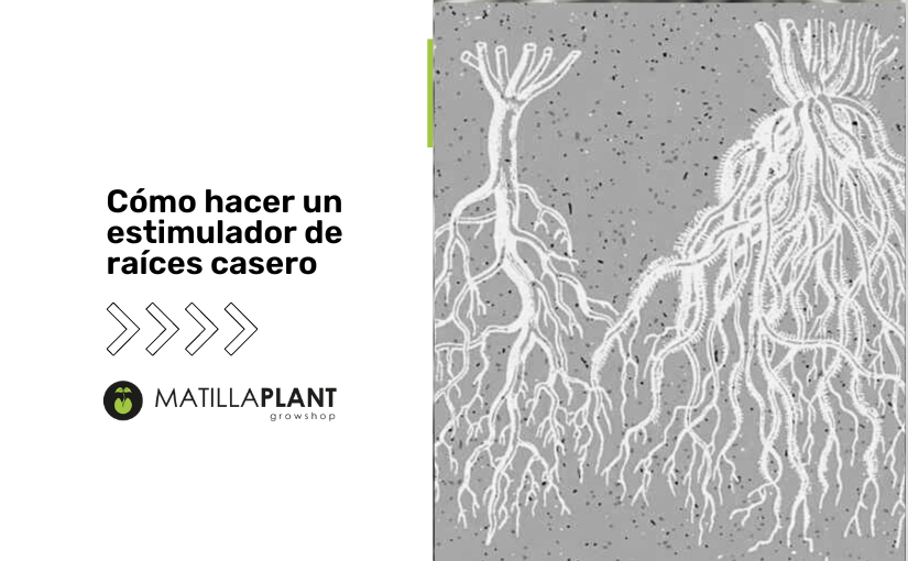 Cómo hacer un estimulador de raíces casero