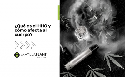 ¿Qué es el HHC y cómo afecta al cuerpo?