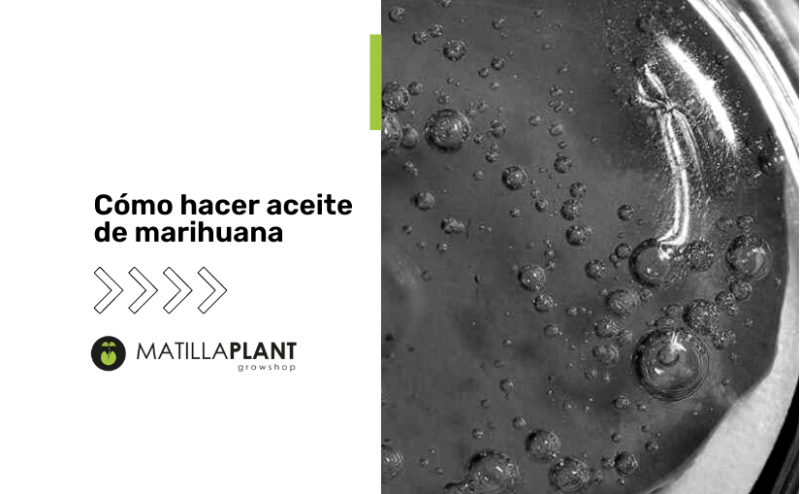 Cómo hacer aceite de marihuanas