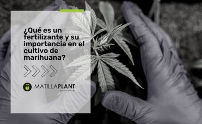 ¿Qué es un fertilizante y su importancia en el cultivo de marihuana?