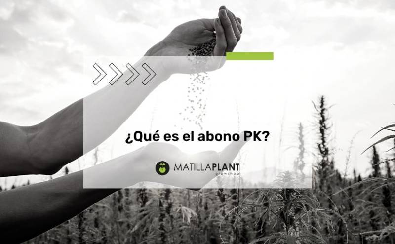 ¿Qué es el abono PK?