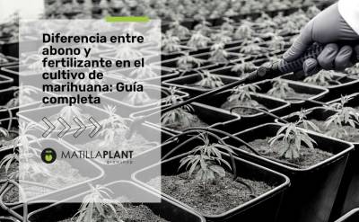 Diferencia entre abono y fertilizante en el cultivo de marihuana: Guía completa