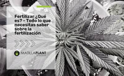 Fertilizar ¿Qué es? - Todo lo que necesitas saber sobre la fertilización