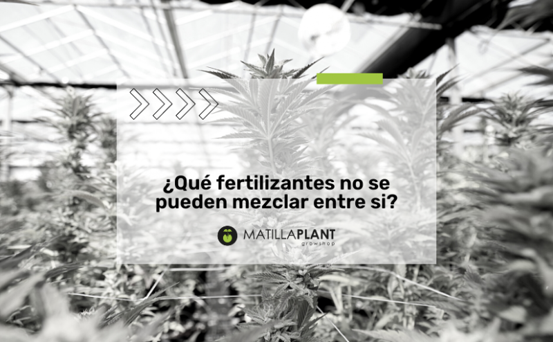 ¿Qué fertilizantes no se pueden mezclar entre sí?