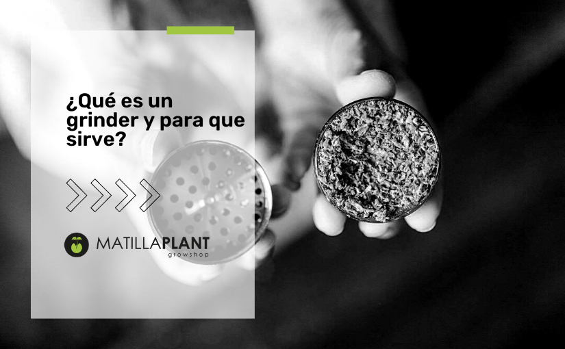 ¿Qué es un grinder y para que sirve?