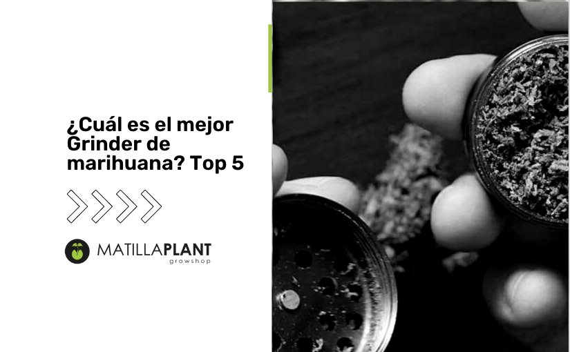 ¿Cuál es el mejor grinder de marihuana? Nuestro Top Grinders